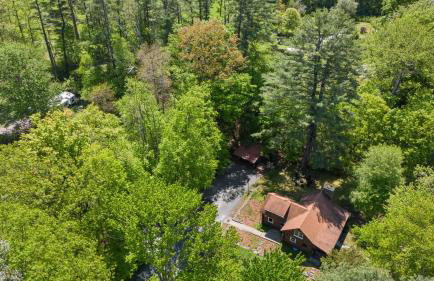 The Bears Nest - Foto 16