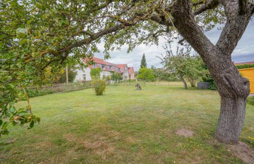 Ferienhaus "Seeadler" in Rankwitz am Peenestrom - Foto 33