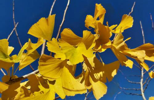 Quinta das Regueiras - Foto 10