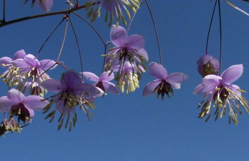 Apartment Appartement mit Wallbox by Interhome - Foto 46