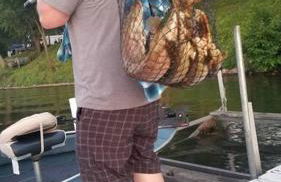 Lakefront Hideaway - Foto 15