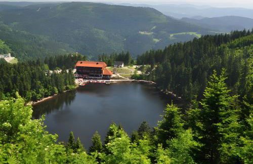 Ferienwohnung Kuckuckslockennest - Foto 14