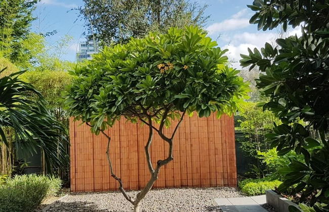 Baan San Dao Hua Hin - Photo 30