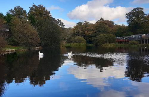 Chalet 176 Glan Gwna Park Caernarfon - Photo 25