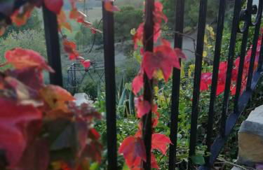 La Muntanera - Foto 41