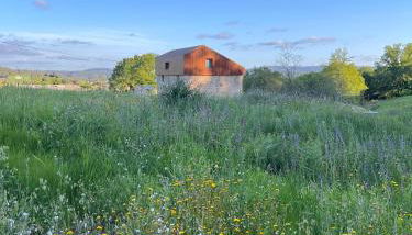 A casa de Foratoxo - Foto 3