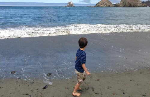 Panoramic Ocean View Home in Elk with Beach Access - Foto 37