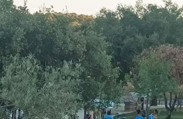 A Casa do Mestre Lau - no coração do Alentejo - Foto 19