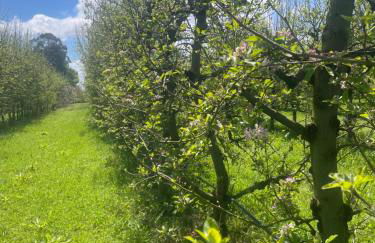 Quinta Pura Natura - Foto 51