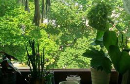 Green Apartament Żoliborz - Foto 18