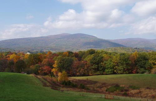 Fairhill Farm Country Vacation Rentals - Foto 31