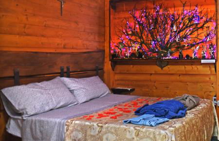 CHALET NEL BOSCO - TENUTA BOCCHINERI - Photo 1