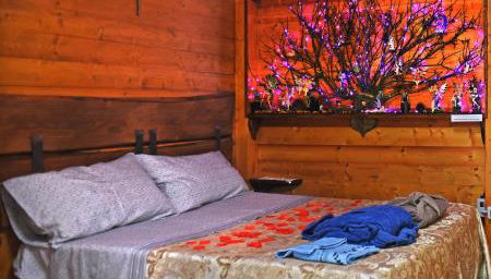 CHALET NEL BOSCO - TENUTA BOCCHINERI - Foto 1