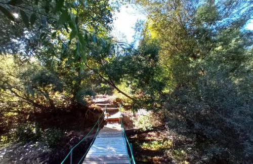 Casa do Rio - Foto 34