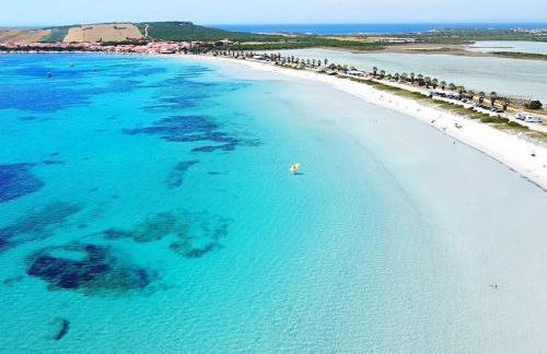 Appartamento-L'elicriso - Foto 20