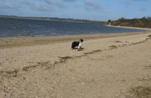 Rockley Park Private Holiday Homes - Photo 51