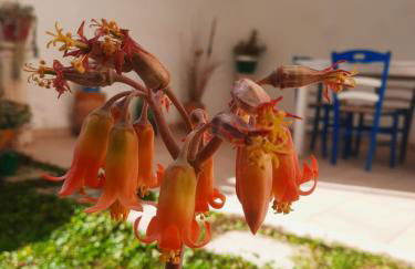 Casetta Manila - Foto 26