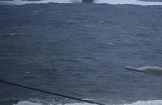 Casa L&M - Refúgio com Horta Biológica Certificada - Foto 38