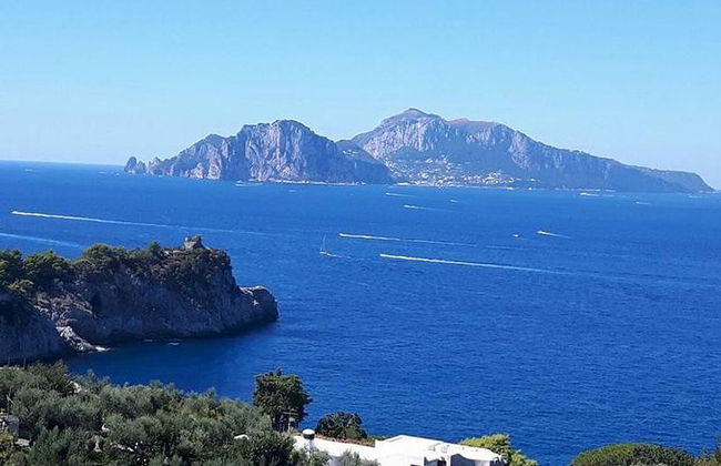 Private exklusive Tour durch Positano und Sorrent + Mittagessen auf dem Bauernhof - Foto 8