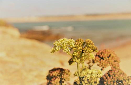Casa das Rendas by CosyCasa Praia Peniche - Foto 72