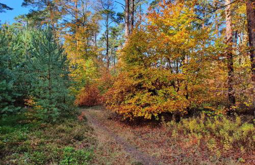 Küstenliebe 8 - Foto 38