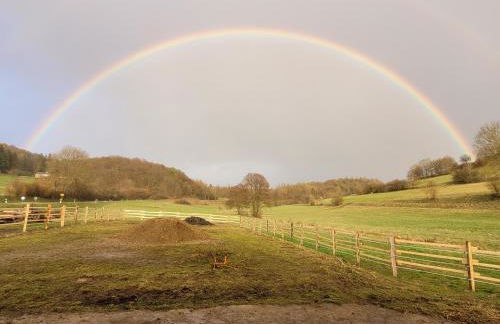 Historisches Ferienhaus "Schwalbennest" mit Eseln - Photo 37
