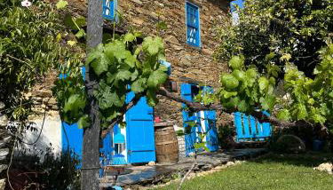 Refúgio da Estrela - Foto 4, Garden