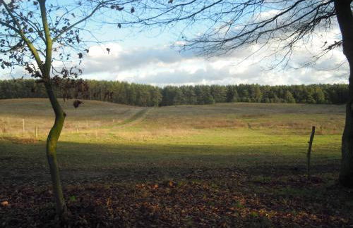 Lenzer Ferienidyll am Plauer See - Foto 37