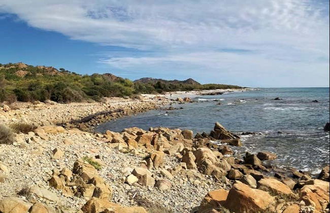 Tour en 4x4 por el golfo de Orosei - Photo 7