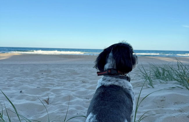 Burleigh Palms Holiday Apartments - Foto 61