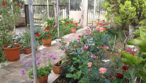 Phaistos Country House - Foto 2, Garden