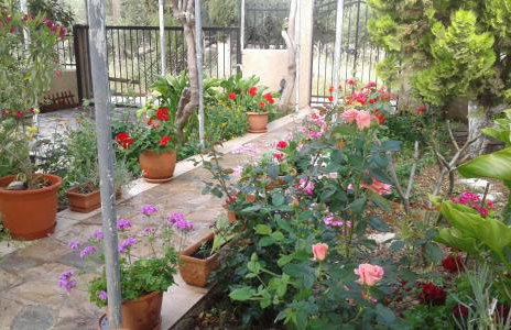 Phaistos Country House - Foto 2