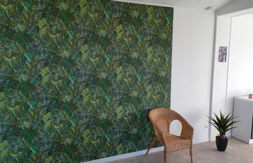 Grand studio centre ville Bretignolles - Foto 4