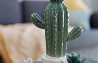 Penthouse Cactus Old Center - Photo 6