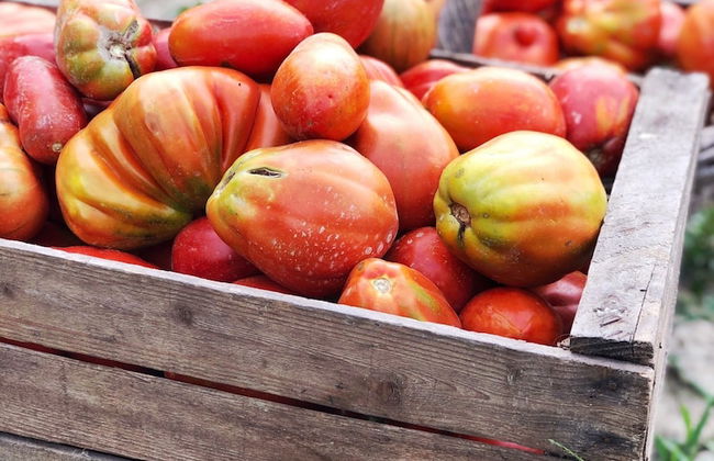 Agriturismo La Mussia - Foto 56