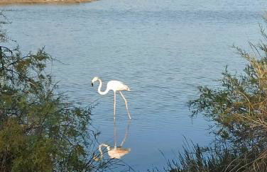 Aliki Guest House - Photo 42