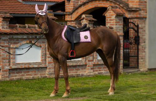 Luxury Villa Četiri Hrasta - Foto 77