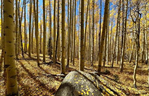 1BR Ski-In&Out - Top Floor - Mtn Views & Hot Tub - Foto 35