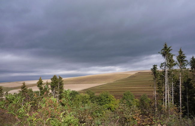 Holiday Home Moselle With Private Sauna - Photo 23