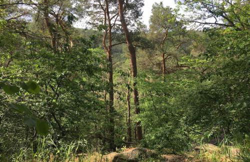 Ferienhaus im Wald an der Weinstrasse - Foto 28