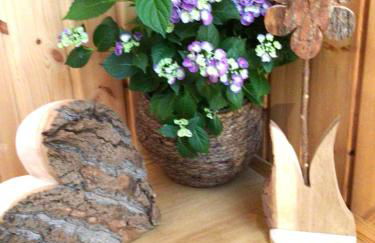 Haus am Seeufer, Weißenstadt - Foto 16