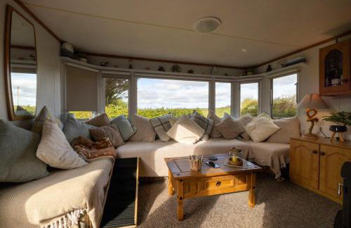 1 Bed Caravan Sleeps 2 -Dog Welcome -Free Parking - Photo 15