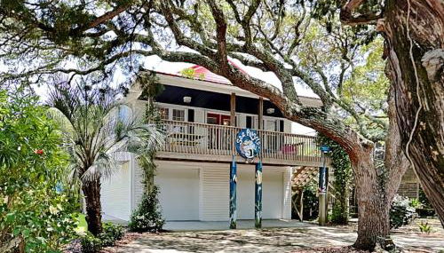 Sea Angels - Photo 2