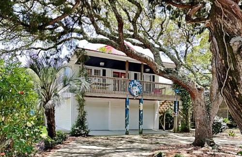 Sea Angels - Photo 2