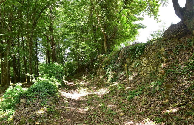 Superb Holiday Home in Busse With Swimming Pool - Foto 39