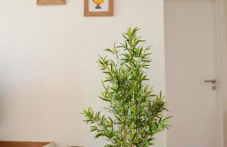 Casa GANCHINHO - Foto 16