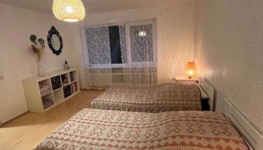 Ruhige Ferienwohnung im Saarland - Foto 3