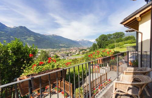 Vistarelax - Foto 22