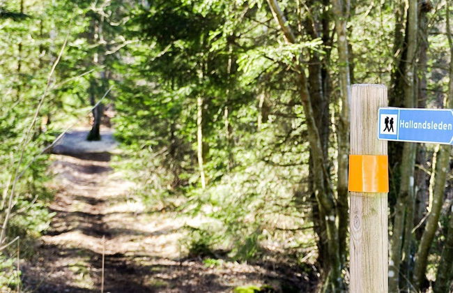 5 Person Holiday Home in Fjaras - Foto 23