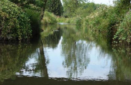 Apartment Apartment - Monteure by Interhome - Foto 14